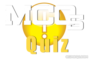 MCQs Quiz written at style